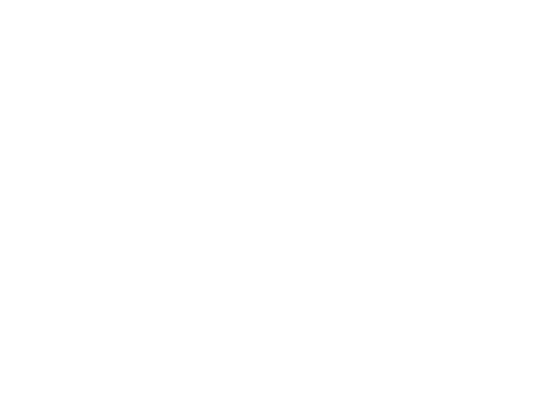 AW – Holztechnik | Laserscanning